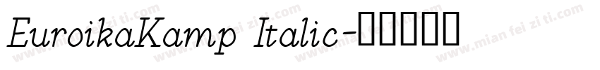 EuroikaKamp Italic字体转换